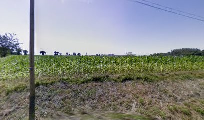 Constance Desoblin Psychologue- Psychothérapeute EMDR, Psychologue à Taden