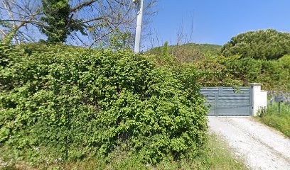 Carine Pagès - Psychologue, Ardèche, Psychologue à Saint-Georges-les-Bains