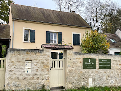 Ludivine Robert Psychologue à Montgeroult