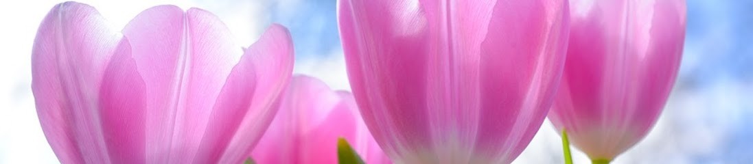 Sylvie Ropers Psychothérapie à Saintes, Psychanalyste à Saintes