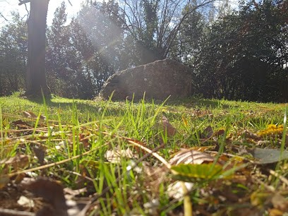 Equinoxe Delphine Wallon, Psychothérapeute à Orthez