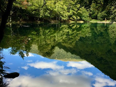 Cerqueda Veronique, Psychologue à Labège