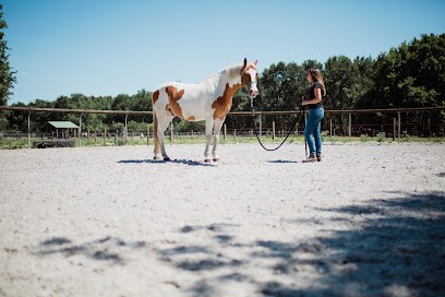 Julie Zenouda Equithérapie, Psychothérapeute à Latresne