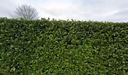 Houssin Deledalle Anne, Psychologue à Mouvaux