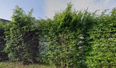 Bourdin Severine, Psychologue à Mettray