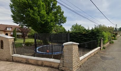 PSYCHOLOGUE-Laurent GAILLARD, Psychologue à Heyrieux