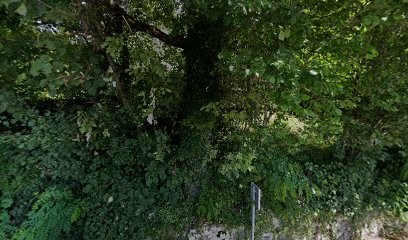 Bolgert-Tric Catherine, Psychothérapeute à Crozet