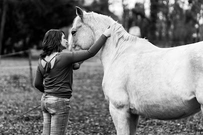 CelineGruillot Equithérapie Et Médiation Animale, Psychothérapeute à Castres-Gironde