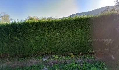 Spagytherapie, Psychothérapeute à Orcier