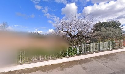 Christine MOUGIN, Psychologue à Saint-Didier-au-Mont-d'Or