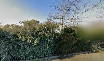 Lise Ménard - Psychologue, Psychologue à Sucé-sur-Erdre