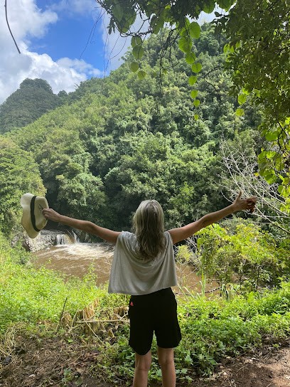 Cécile Dubourg à Begles et Bordeaux Tarots de Marseille/Constellations systémiques familiales/Shiatsu, Psychothérapeute à Bègles