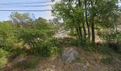 Psychologue et Zoothérapeute, Psychologue à Meyreuil