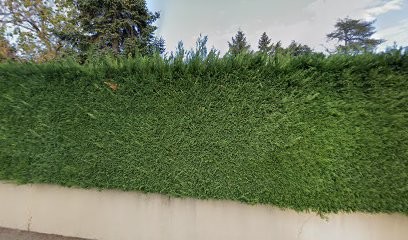 Dimier Chantal, Psychologue à La Talaudière