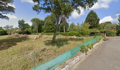 Anne-Sophie Veber, Psychologue à Tarnos