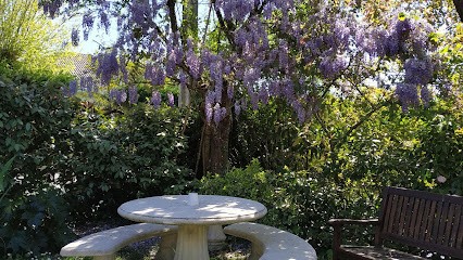 Dominique Blancher-vignal, Psychologue à Pessac