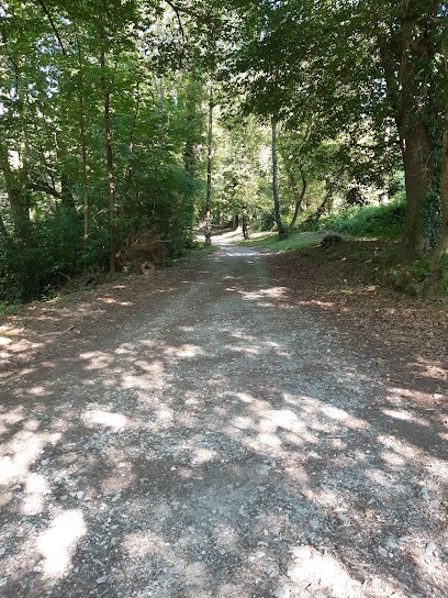 Emilie Mora, Psychologue à Pau