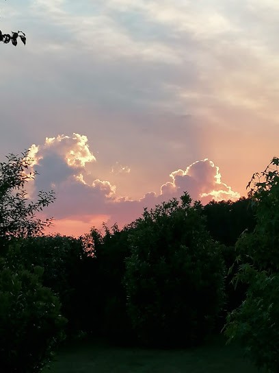 Psychanalyste Sophrologue Geneviève PANTIN AUTRIC, Psychanalyste à Noves