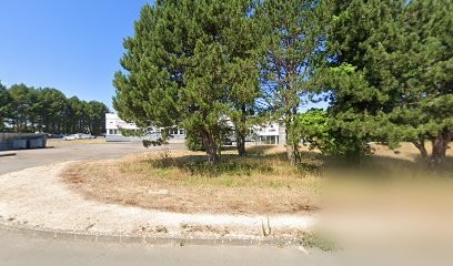 Laurent Cotteau Soins Informationnels psycho-corporels, Psychothérapeute à Lannion