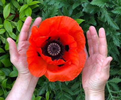 Emilie ABSIL - Somatothérapie - Coaching de vie - Ennéagramme - Massage bien-être, Psychothérapeute à Carrières-sur-Seine