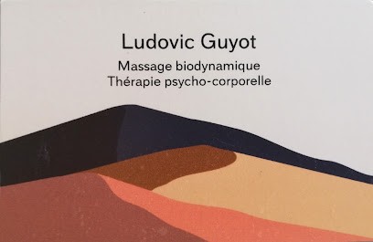 Ludovic Guyot, Therapie psycho-corporelle, Psychothérapeute à Carcassonne