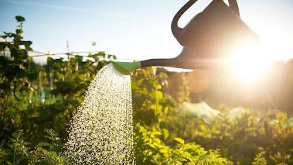 Audrey FORTIER, Psychothérapeute à Tinqueux