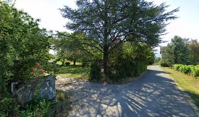 Maurane LIMEUX, Psychologue à Arbin