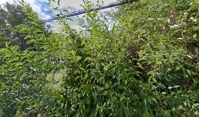 Florence Graff Psychologue clinicienne, Psychothérapeute, Sophrologue, Psychologue à Saint-Martin-d'Uriage