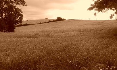 Frédéric BRAILLON, Thérapeute Centré Sur La Personne ACP, Psychothérapeute à Saint-Siffret