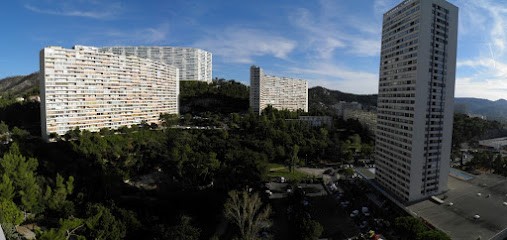 Elisabeth Lewin | Psychologue Marseille, Psychologue à Marseille 09