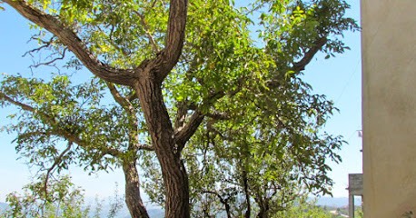 Catherine Dubuget, Psychologue à Houilles