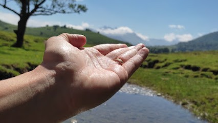 LOYER Séverine psychologue pau, Psychologue à Pau