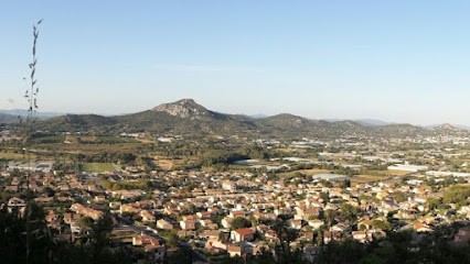 COULON Régis, Psychologue à Vierzon