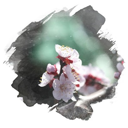 Berthon Sonia, Psychothérapeute à Montbonnot-Saint-Martin