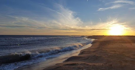 Sabbadini Céline, Psychologue à Lattes