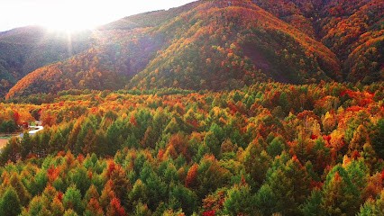 Blondelot Céline, Psychothérapeute à Aubin