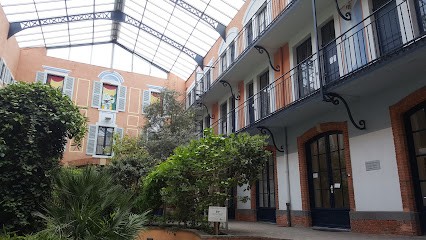 Rondelet Patrice, Psychologue à Roanne