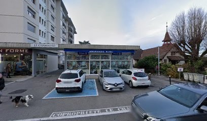 Trombert Van Nieuwstadt Julie, Psychologue à Thonon-les-Bains