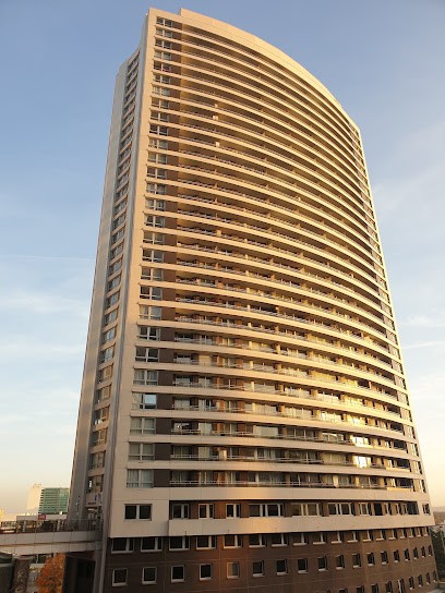 Fine-Adèle GOMIS, Psychologue, Psychologue à Puteaux