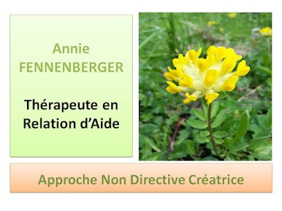Thérapeute en Relation d'Aide selon l'ANDC, Psychothérapeute à Nancy