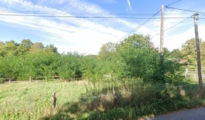 Lebrun-Geslin Nicole, Psychologue à Gien