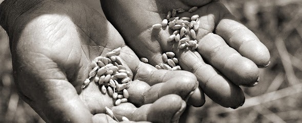 Brigitte Faro Psychologue Chilly-Mazarin Saulx-les-Chartreux Villebon-sur-Yvette Psychanalyste, Psychologue à Saulx-les-Chartreux