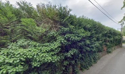 Jivan-Claire Grosso, Psychothérapeute à Collonges-au-Mont-d'Or