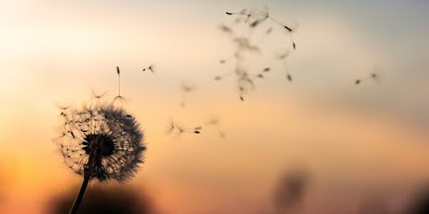 Estelle NAVARRE, Psychologue à Verrières-le-Buisson