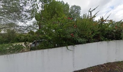 Frédérique F. Berger, Psychologue à Montferrier-sur-Lez