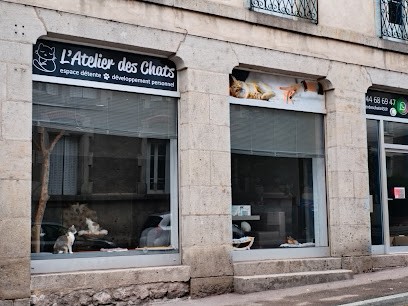 Stéphanie Cavard, Psychothérapeute à Espaly-Saint-Marcel