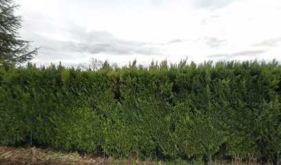 Alami A, Psychologue à Montélier