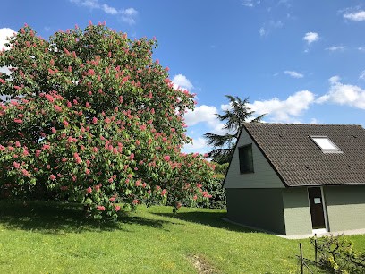 Mauro Claudine, Psychothérapeute à Rebreuve-Ranchicourt
