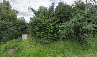 Mme Tixier-Nousse Anne, Psychologue à Thiers