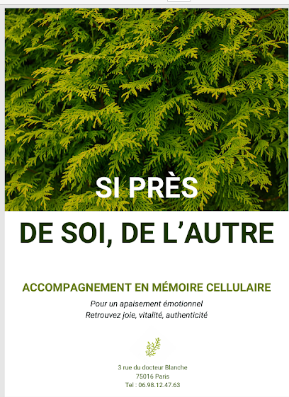 Nathalie Gam - Psychopraticienne En Conscience Cellulaire, Apaisement Des Émotions, Apaisement Des Mémoires Traumatiques, Psychothérapeute à Paris 16